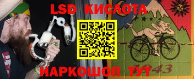 амф Гатчина