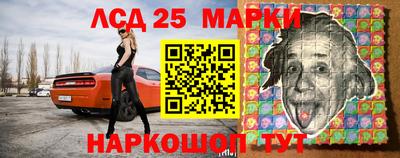 шишки Абакан