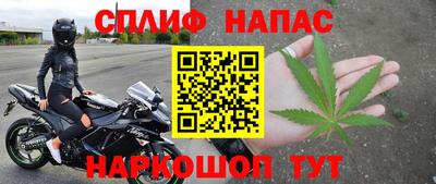 амф Гатчина
