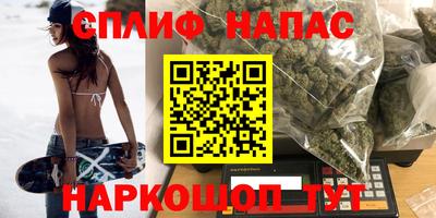 амф Гатчина