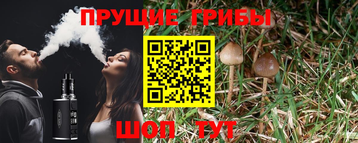 Псилоцибиновые грибы мухоморы  Вход с VPN  Алатырь  Галлюциногенные грибы Psilocybine cubensis 
